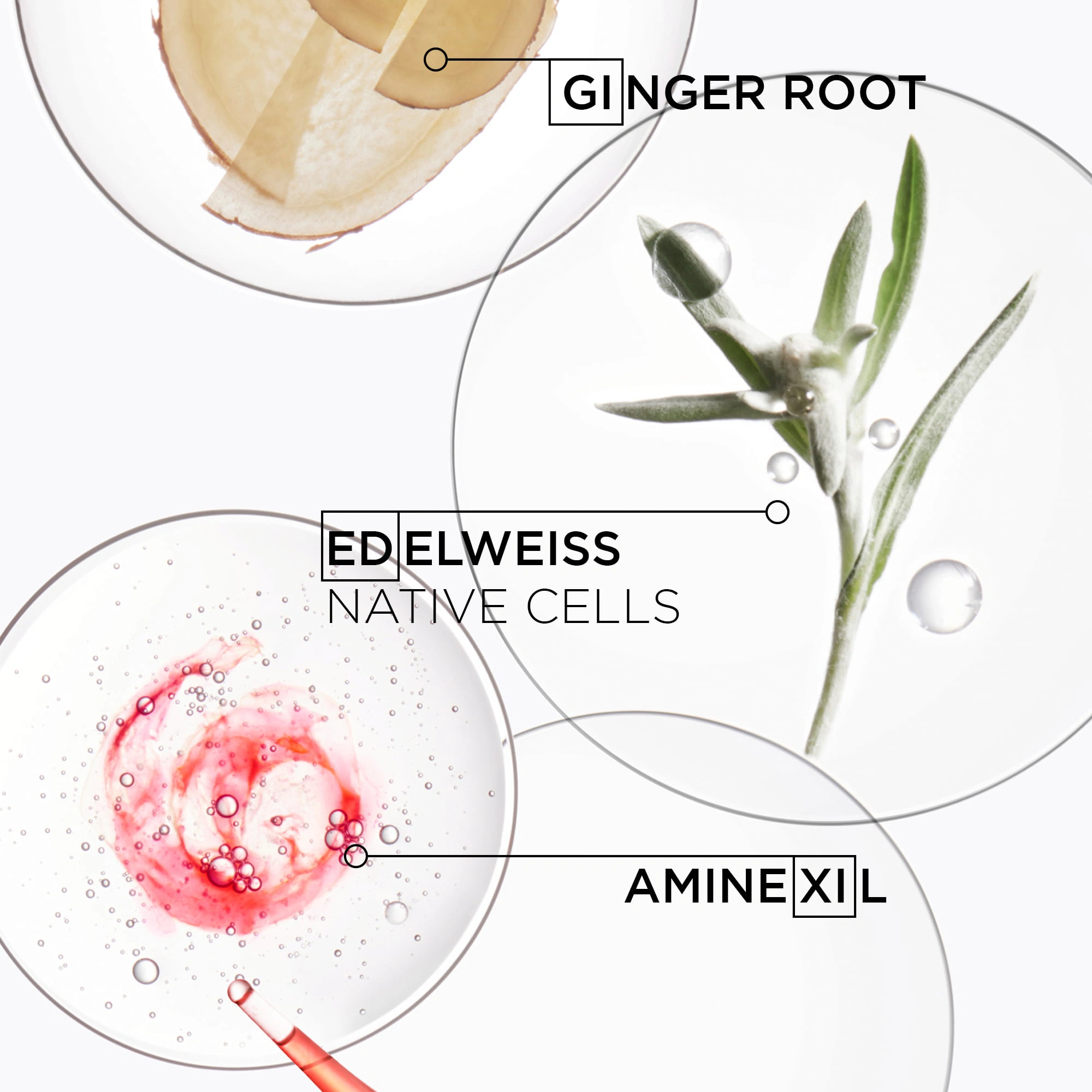 Kérastase Genesis Ampoules Cure Anti-Chute Fortifiantes 10x6 ml képe 4